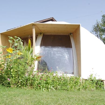 Rose-Marie'S Paradies Aesch (Basel-Landschaft) Exterior photo