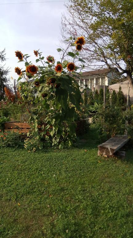 Rose-Marie'S Paradies Aesch (Basel-Landschaft) Exterior photo