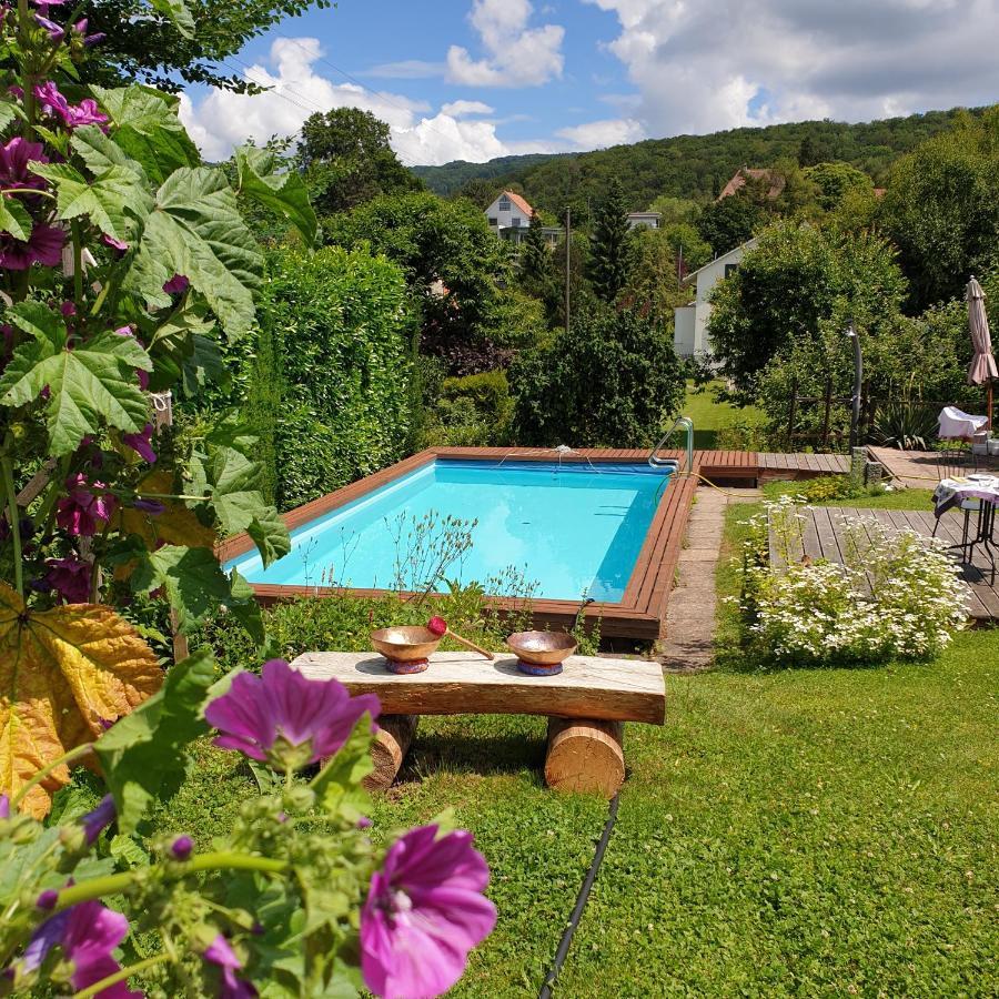 Rose-Marie'S Paradies Aesch (Basel-Landschaft) Exterior photo
